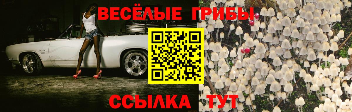 Малгобек  Галлюциногенные грибы мицелий  цена наркотик  Вход с VPN  Галлюциногенные грибы Cubensis 